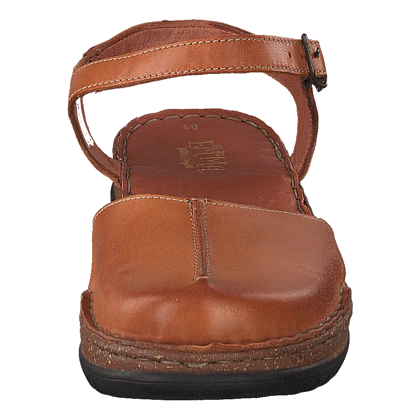 483-3600 Cognac