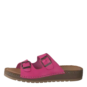 483-4981 Fuschia