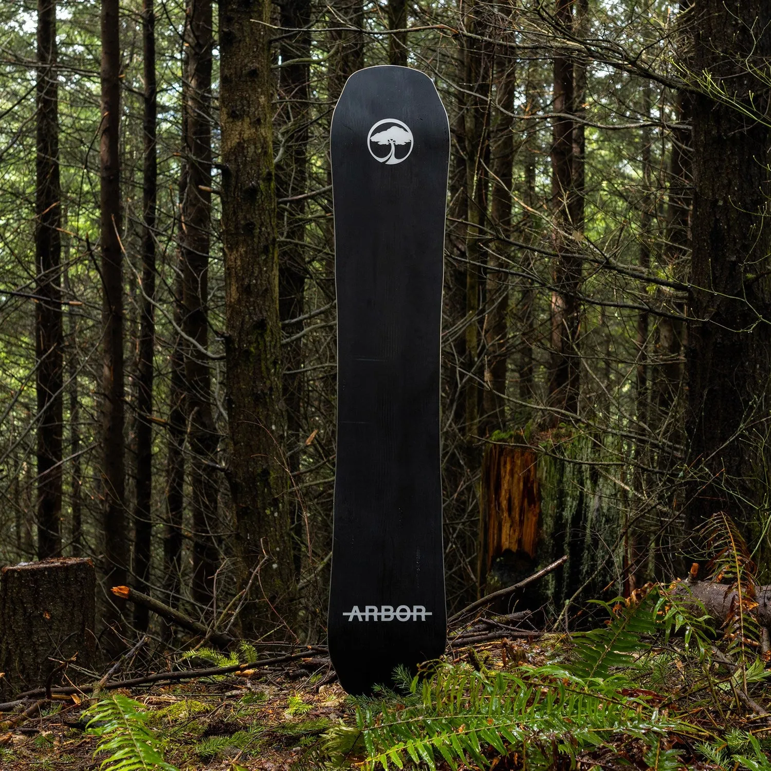 Arbor Coda Camber 2024 - Men's Snowboard