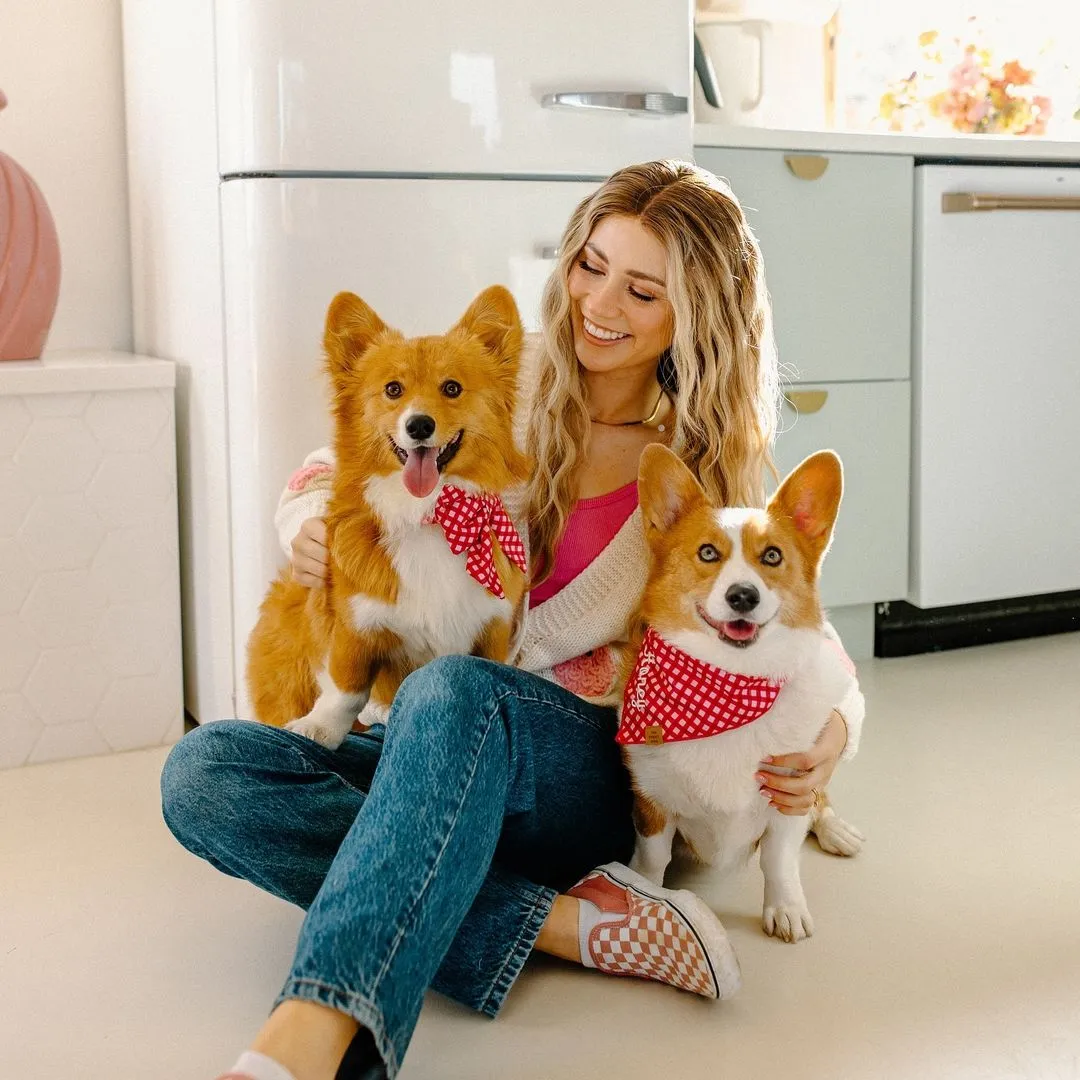 Raspberry Gingham Lady Dog Bow