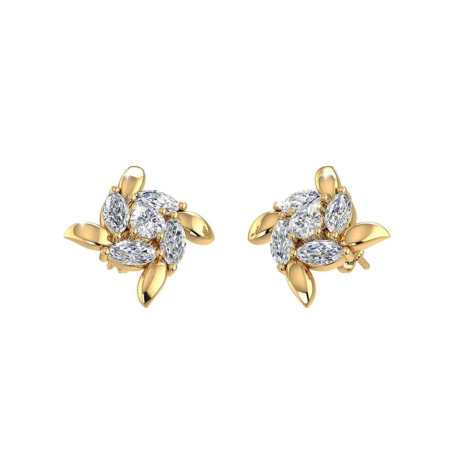 THE PRIMROSE STUDS